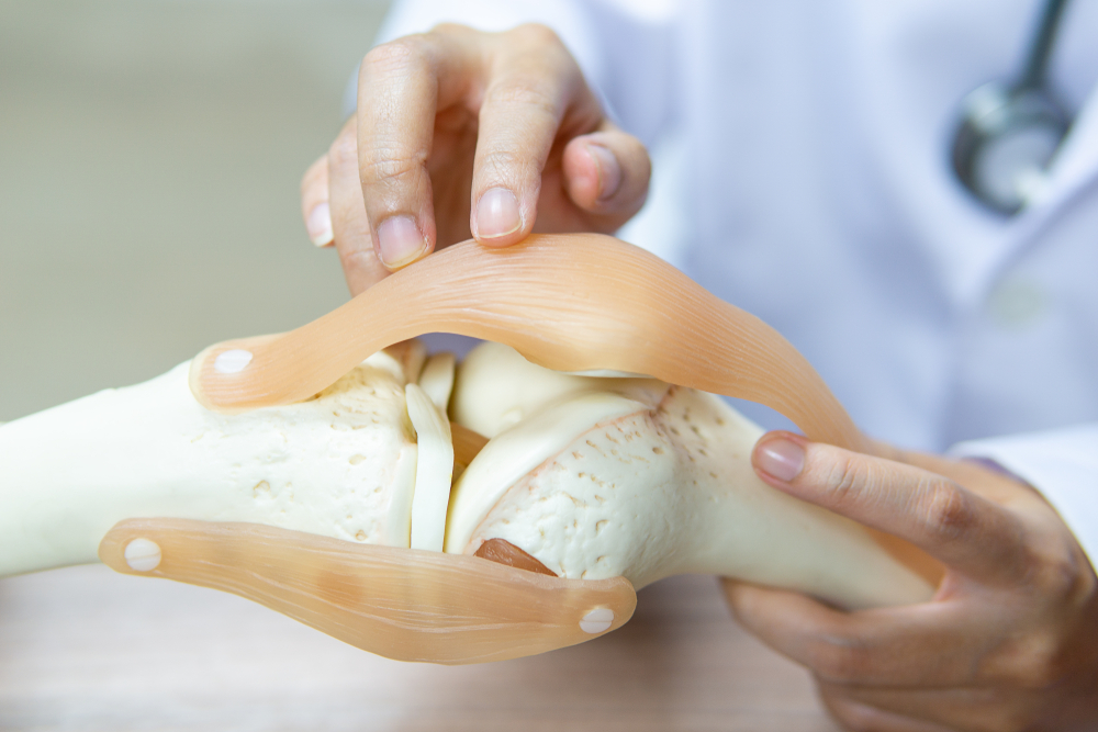 knie orthopädie